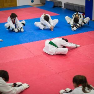 White belt to Black belt package